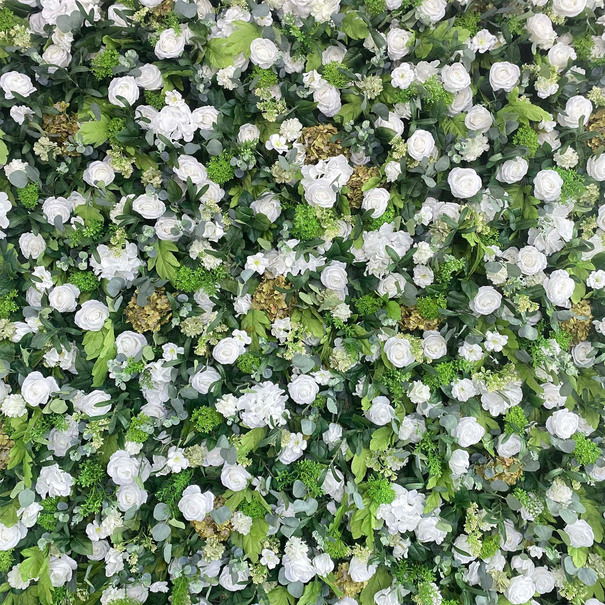 Aliflowers 5D White Rose & Green Leaf Artificial Curtain Flower Wall for Event & Party Backdrop ALFWL185-1 - Ali Flowers