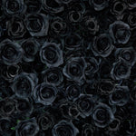 aliflowers-luxury-3d-black-rose-flower-wall-rolling-up-floral-backdrop