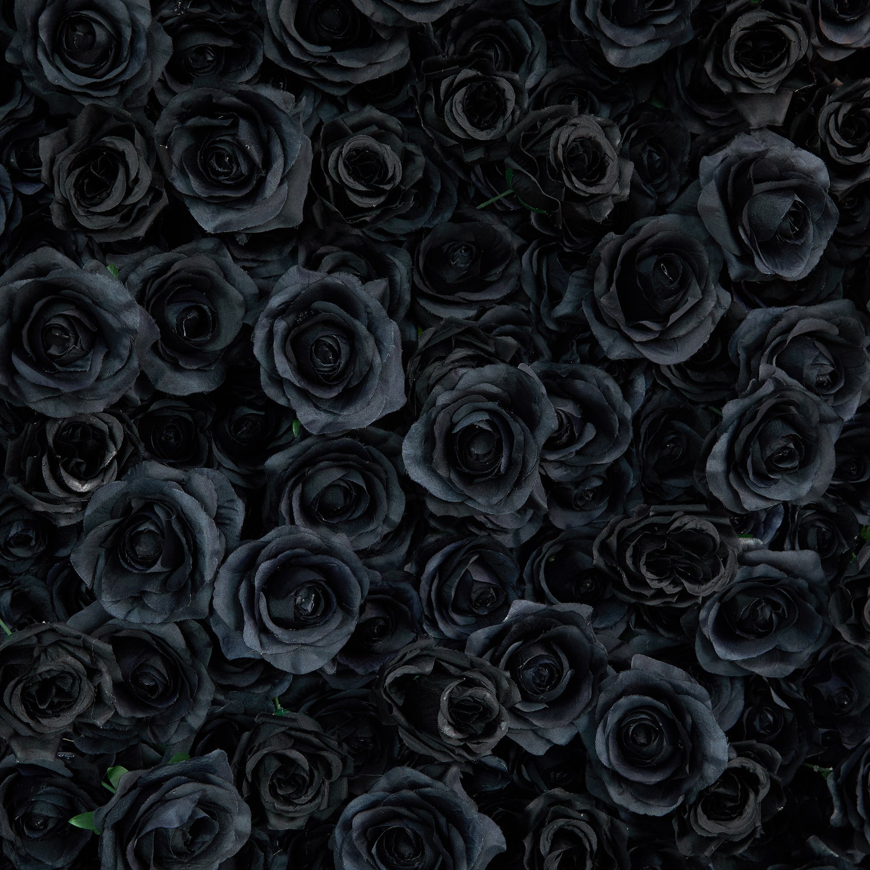 aliflowers-luxury-3d-black-rose-flower-wall-rolling-up-floral-backdrop