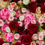 Aliflowers 3D Pink Rose Roller Curtain Decoration Wedding Flower Background Wall