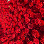 Aliflowers 5D Scarlet Red Rose Cloth Rolling Up Flower Wall ALFWL027 - Ali Flowers