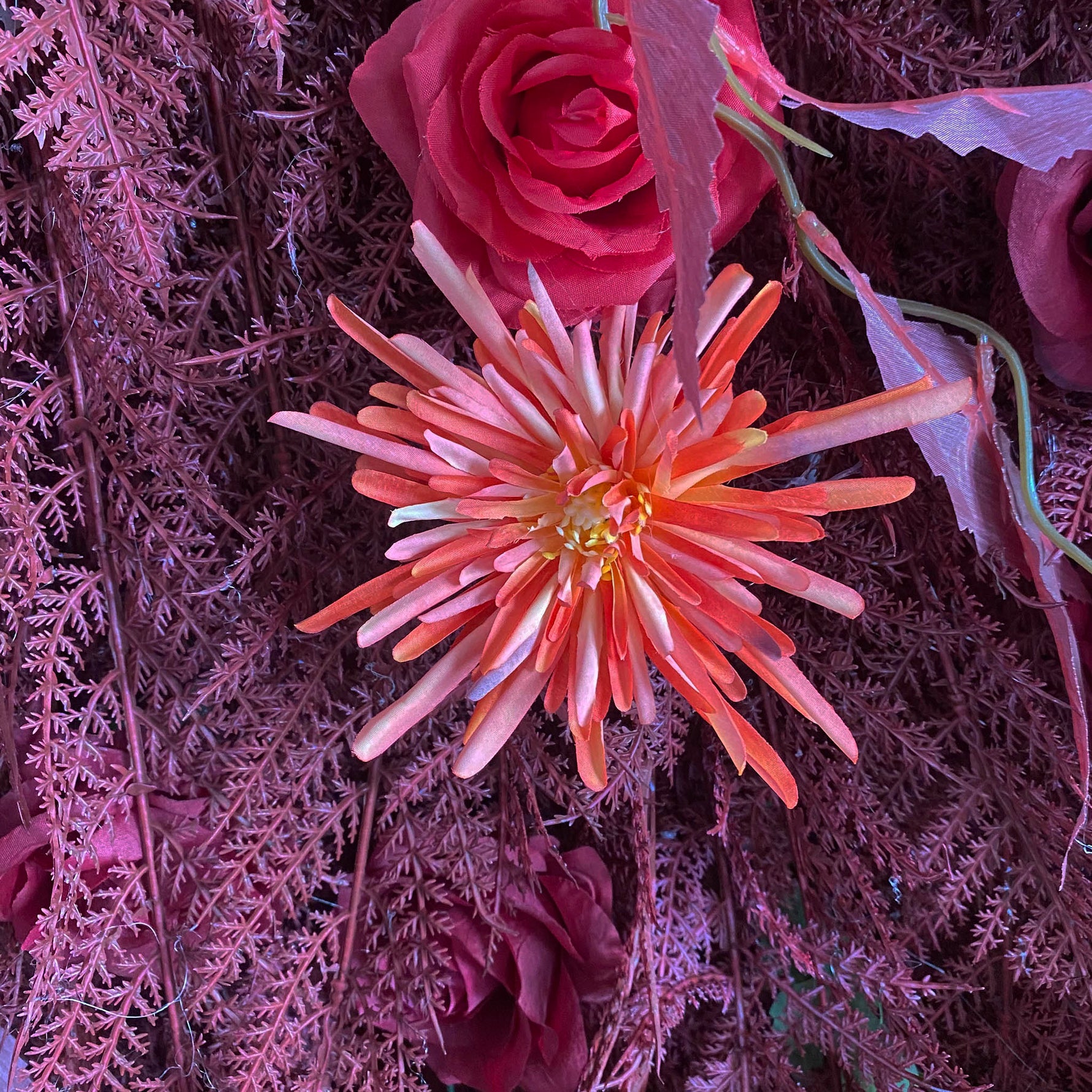 Aliflowers 5D Deep Red Permafrost Rose Wall Roller Fabric Wedding Backdrop ALFWL190