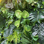 Plant background wall