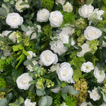 Aliflowers 5D White Rose And Green Leaf Artificial Curtains For Event And Party Backdrops ALFWL185