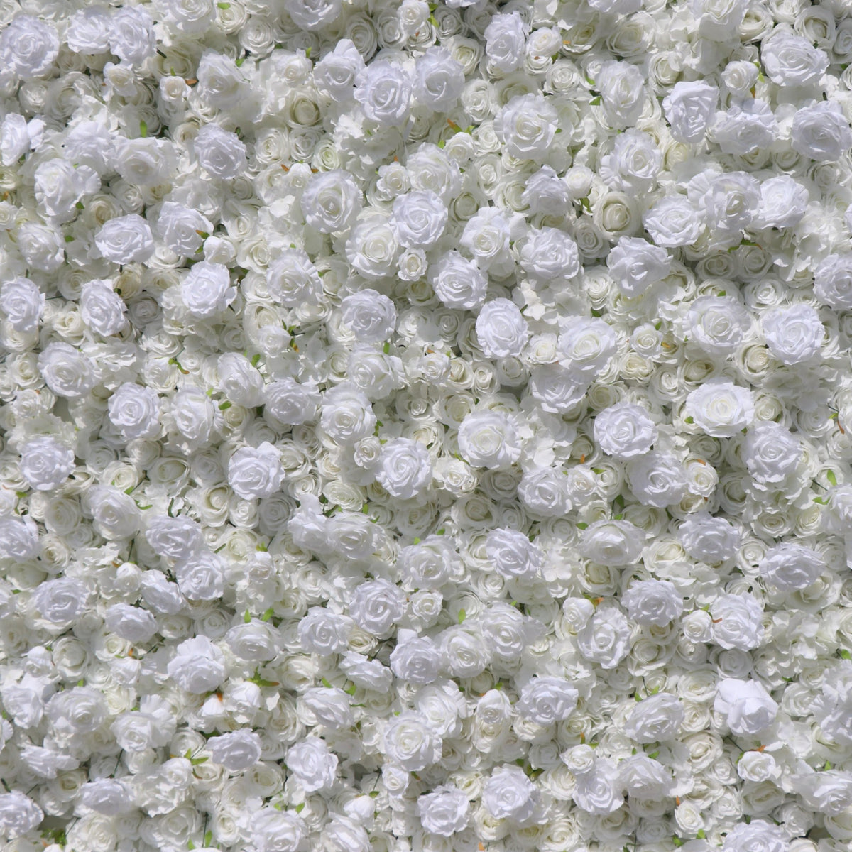 Aliflowers 5D White Rose & Hydrangea Rolling Curtain Flower Wall Backdrop ALFWL130 - Ali Flowers