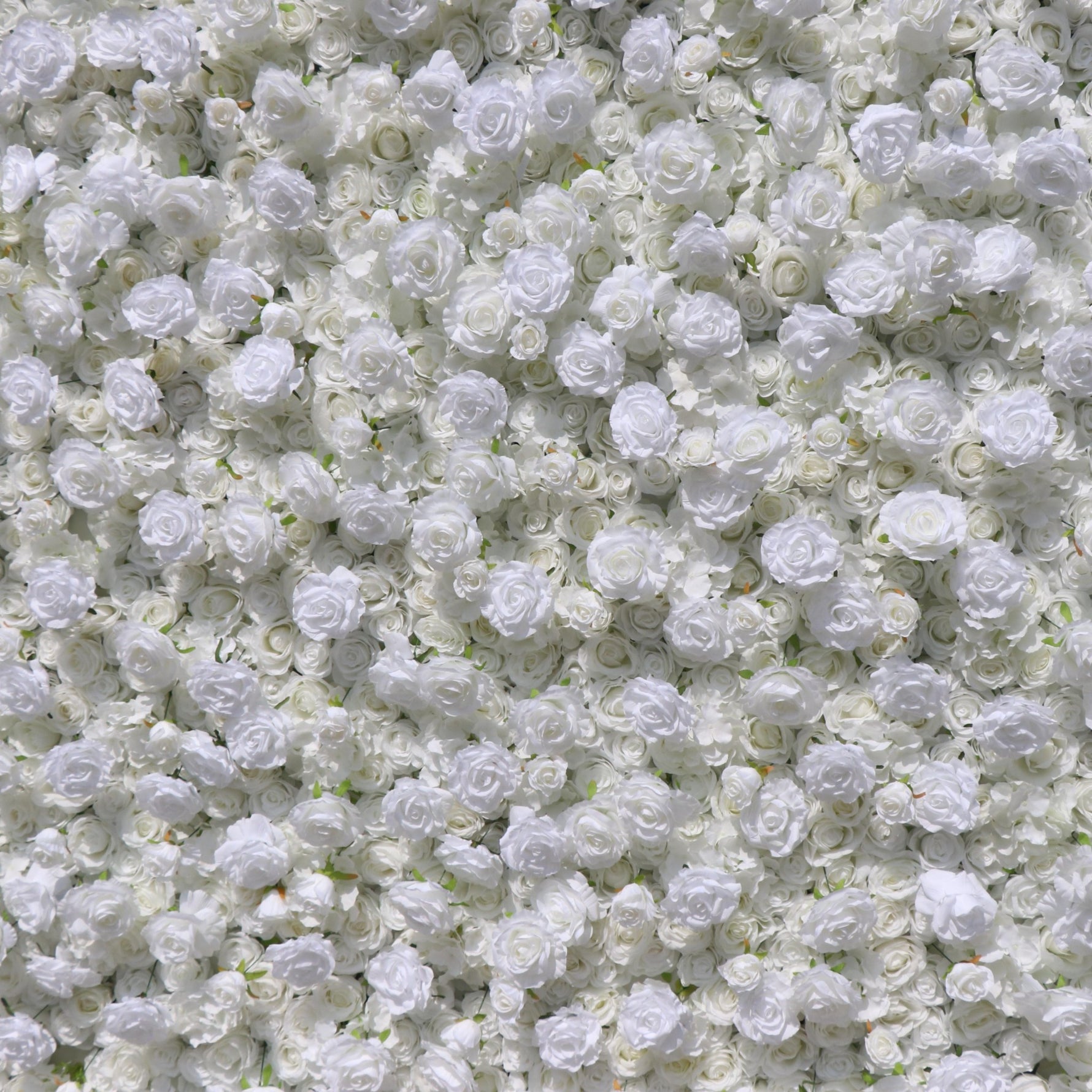 Aliflowers 5D White Rose & Hydrangea Rolling Curtain Flower Wall Backdrop ALFWL130 - Ali Flowers