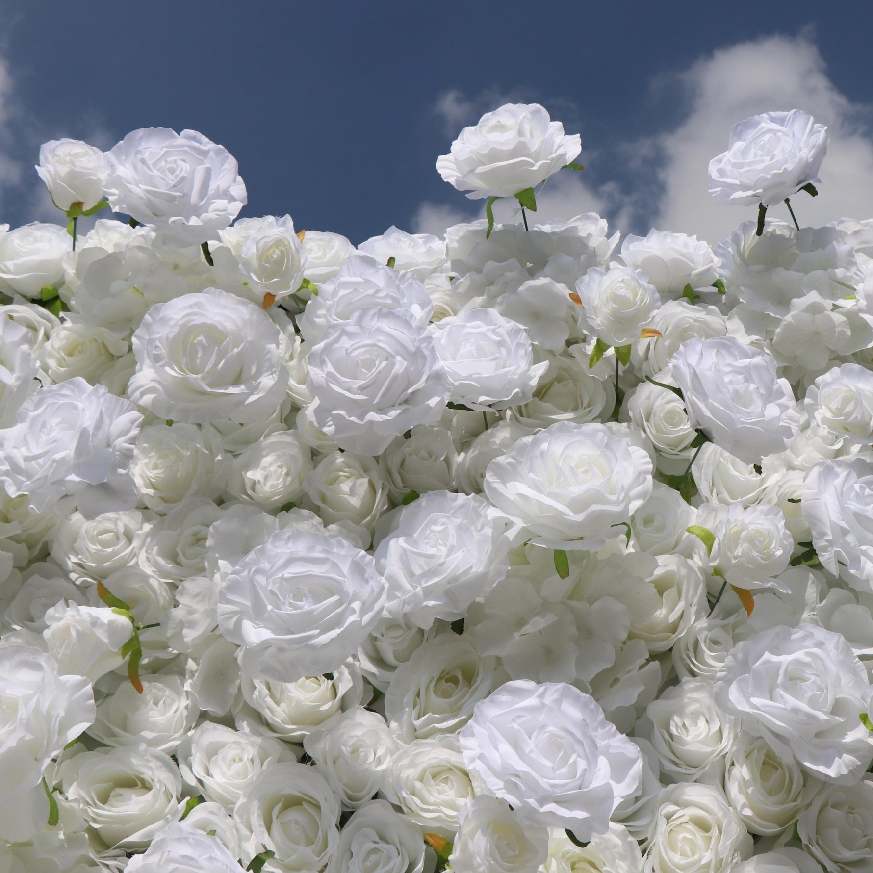 Aliflowers 5D White Rose & Hydrangea Rolling Curtain Flower Wall Backdrop ALFWL130 - Ali Flowers