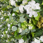 Aliflowers 5D White Rose & Green Leaf Artificial Curtain Flower Wall for Event & Party Backdrop ALFWL185