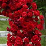 Aliflowers Artificial flower 5D Red Rose Valentine's Day Heart Arch ALFAH004