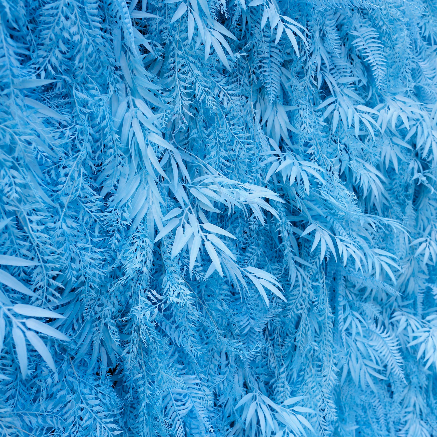 Aliflowers Blue Feathered Foliage Flower Wall for Photo Booth Backdrop ALFWL127 - Ali Flowers
