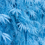 Aliflowers Blue Feathered Foliage Flower Wall for Photo Booth Backdrop ALFWL127 - Ali Flowers