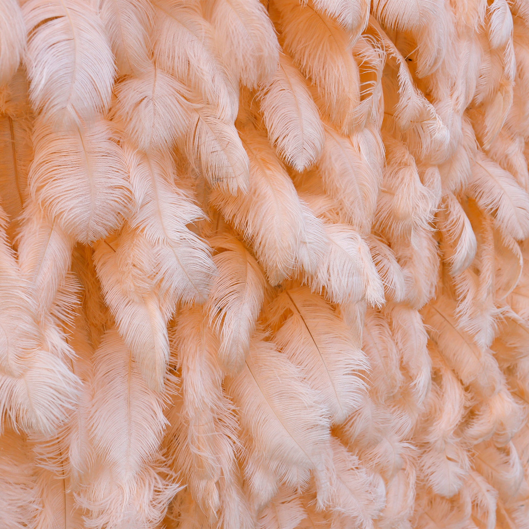 Aliflowers Luxury Peach Feather Backdrop Wall for Wedding & Party Decor ALFWL135