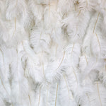aliflowers-white-feather-wall-backdrop-wedding-decoration-rol-up-cloth-white-ostrich-feather-wall