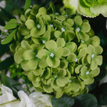 aliflowers-white-rose-green-hydrangea-artificial-flower-wedding-horn-arch-decoration