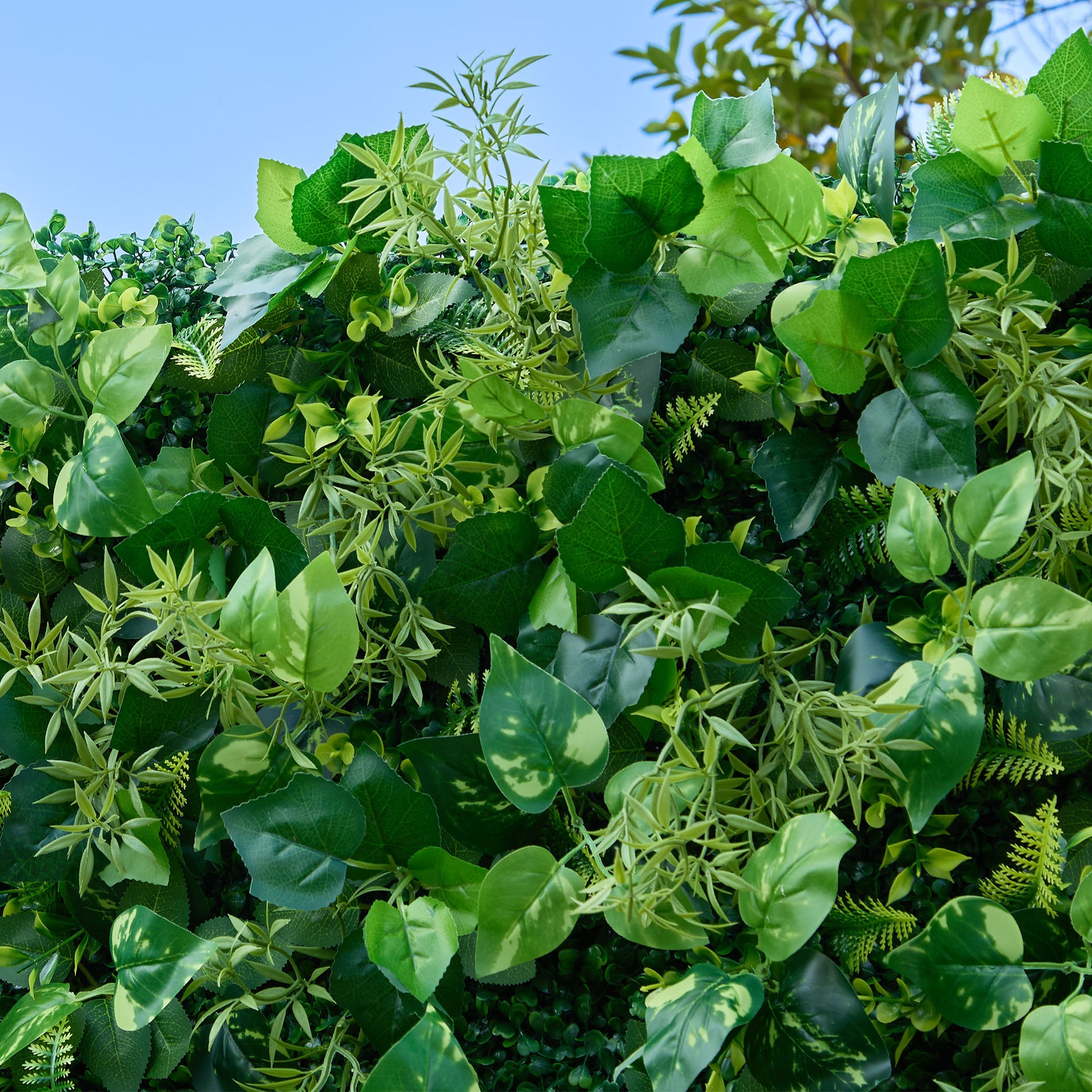 8x8ft Artificial Grass Wall Fabric Backdrop Greenery Wall for Events & Weddings - Ali Flowers
