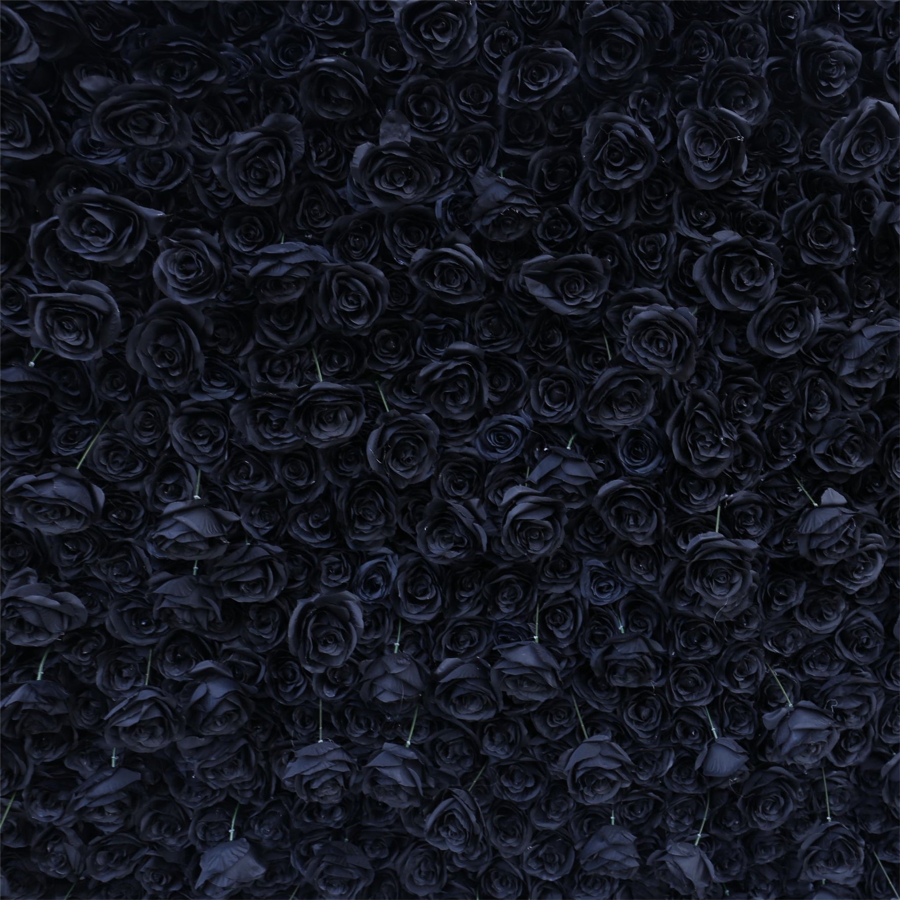 Aliflowers Black Rose Roll up Fabric Artificial Flower Wall ALFWL079 - Ali Flowers