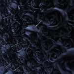 Aliflowers Black Rose Roll up Fabric Artificial Flower Wall ALFWL079 - Ali Flowers