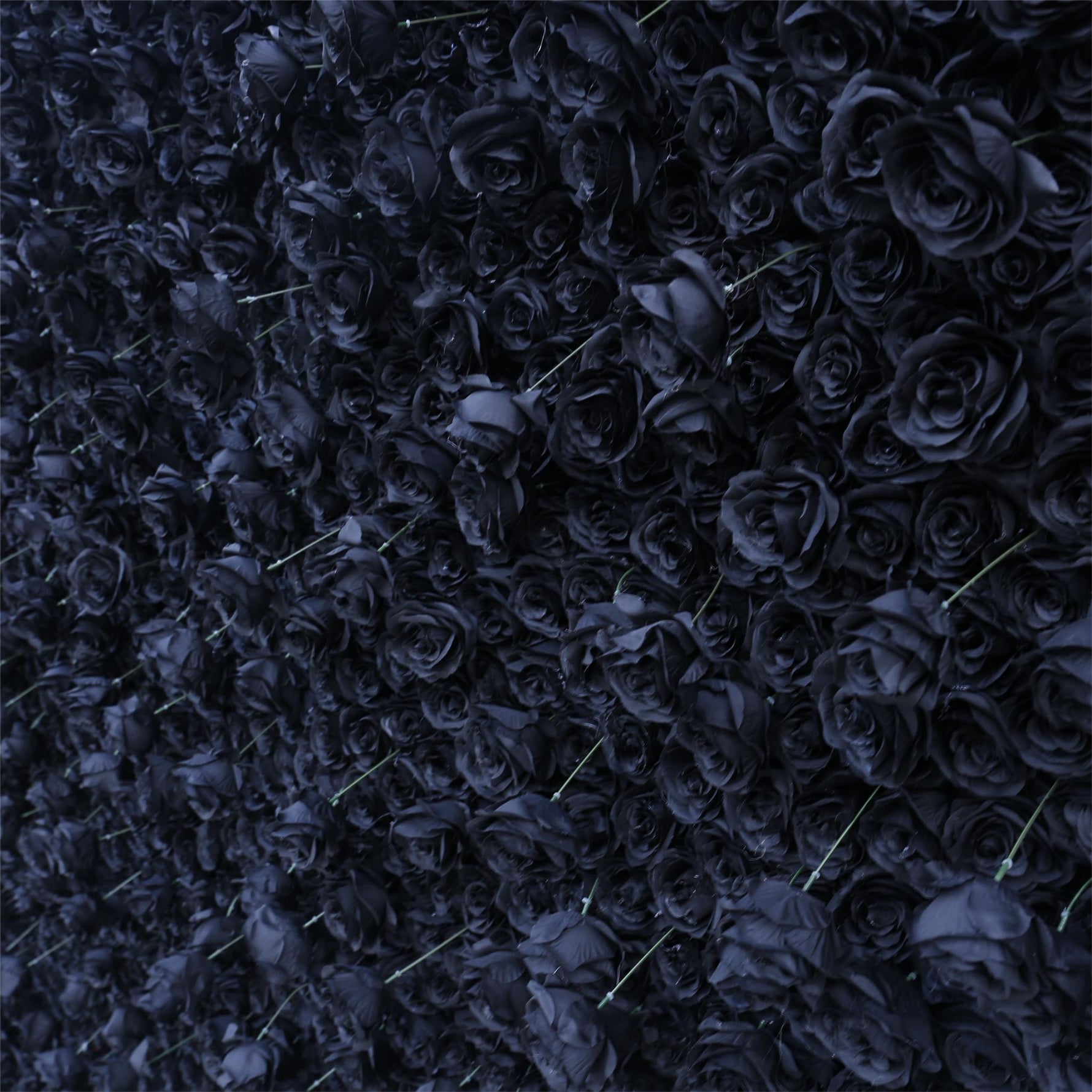 Aliflowers Black Rose Roll up Fabric Artificial Flower Wall ALFWL079 - Ali Flowers
