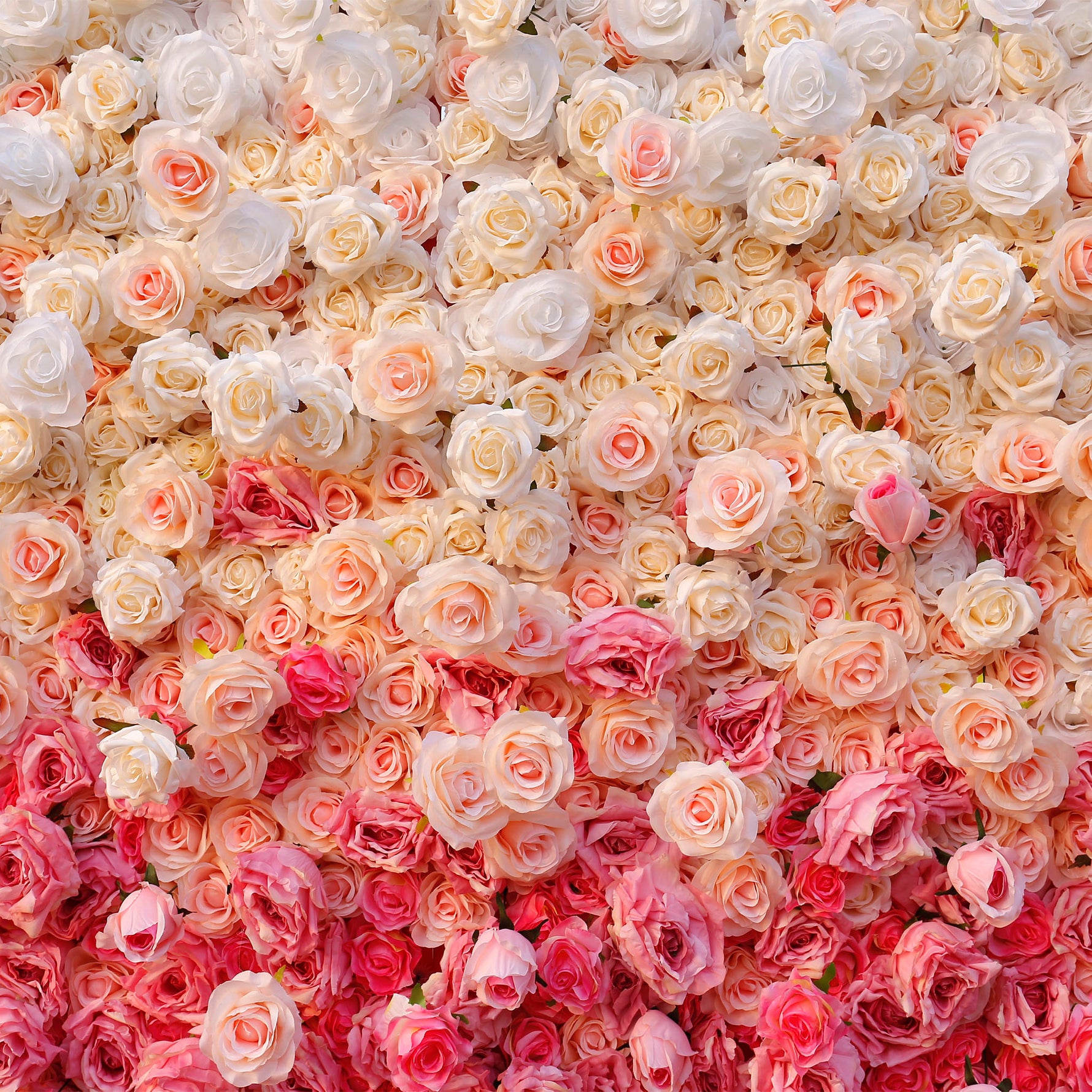 Aliflowers 5D Handmade Cloth Gradient Rose Artificial Floral Wall ALFWL119 - Ali Flowers