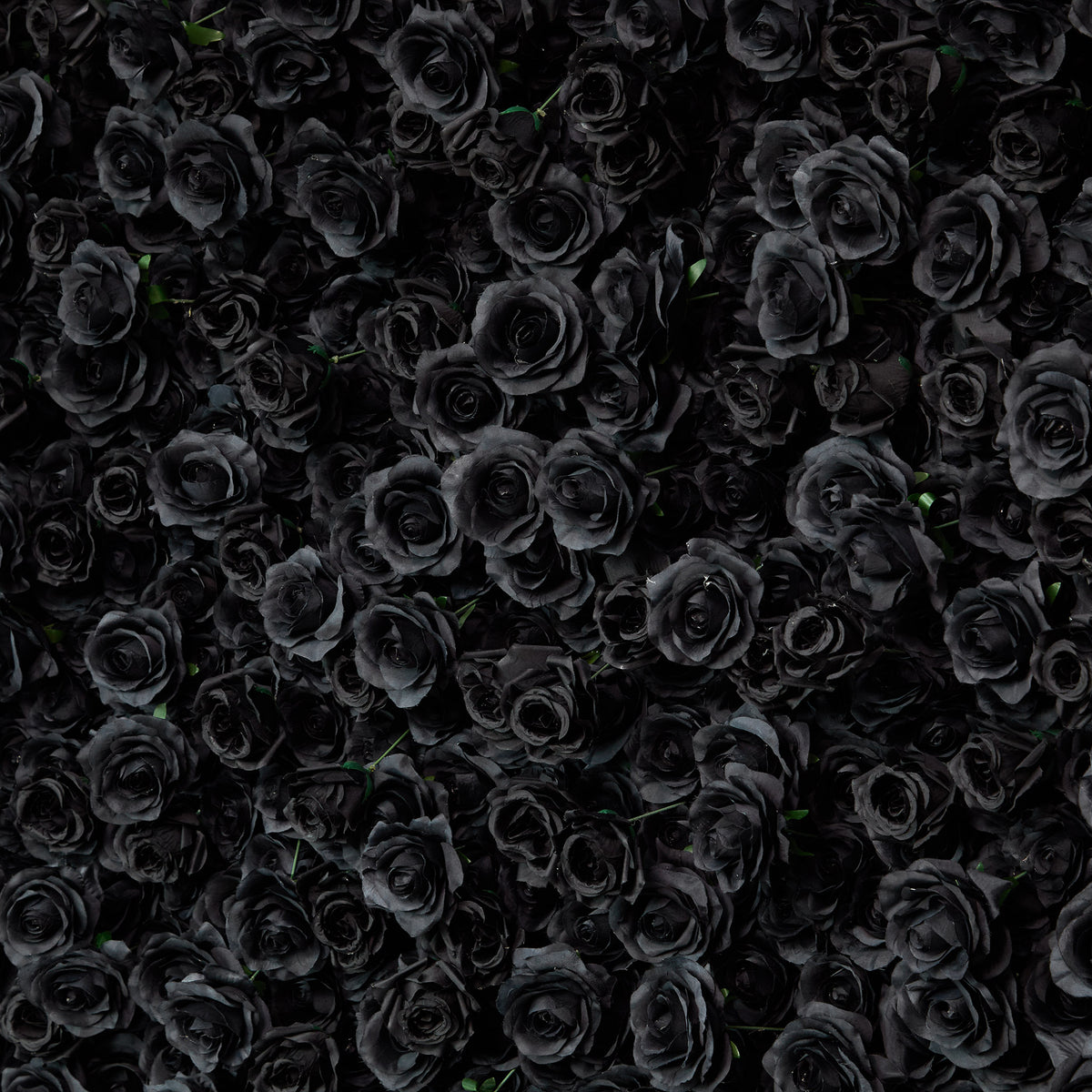 aliflowers-luxury-3d-black-rose-flower-wall-rolling-up-floral-backdrop