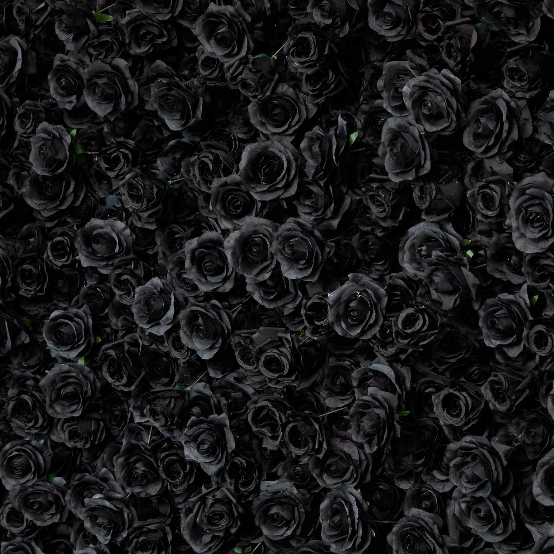 aliflowers-luxury-3d-black-rose-flower-wall-rolling-up-floral-backdrop