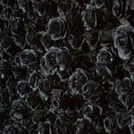 aliflowers-luxury-3d-black-rose-flower-wall-rolling-up-floral-backdrop
