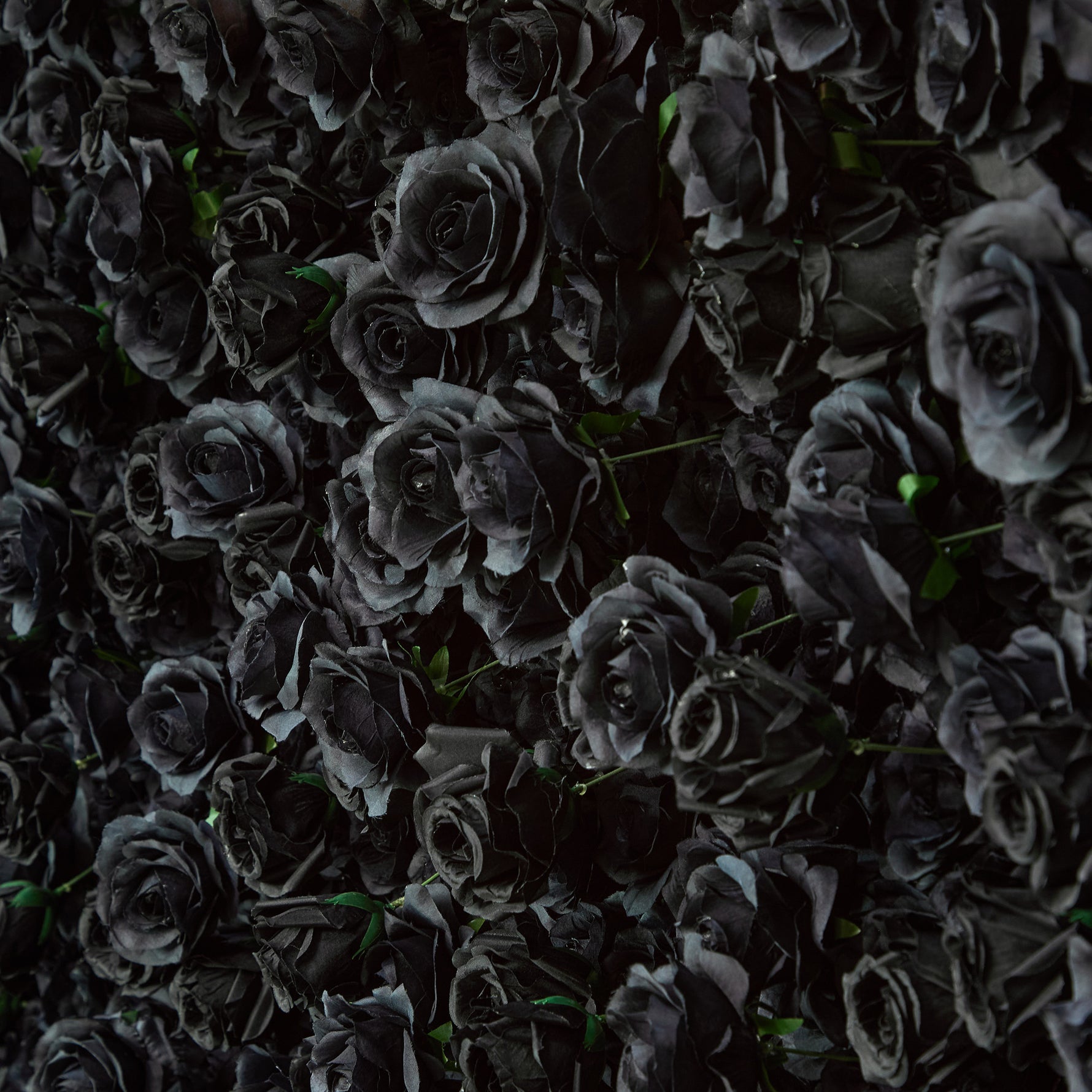 aliflowers-luxury-3d-black-rose-flower-wall-rolling-up-floral-backdrop