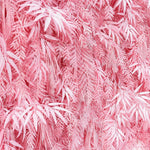 Aliflowers Candy Pink Misty Smog Pampas Flower Wall Artificial Silk Roll Up Cloth Fabric Wedding Backdrop Decoration
