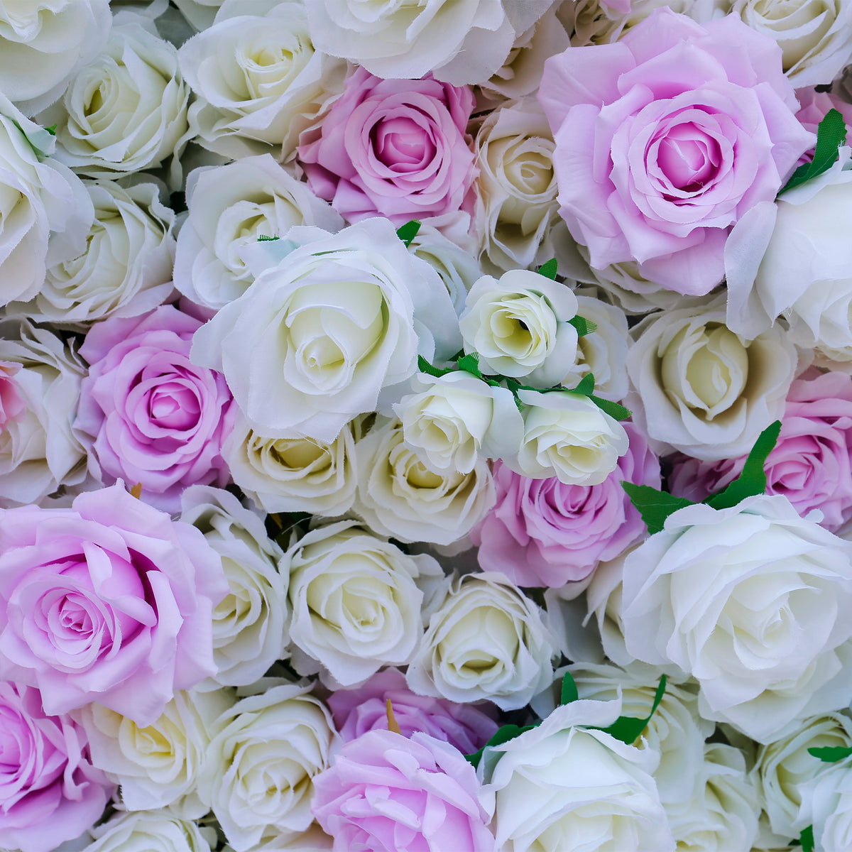 Aliflowers Pink White Colour mixture Rose Wall of flowers ALFWL058 - Ali Flowers
