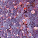 Aliflowers Pink Rose with Purple Blush Flower Wall Background ALFWL108 - Ali Flowers