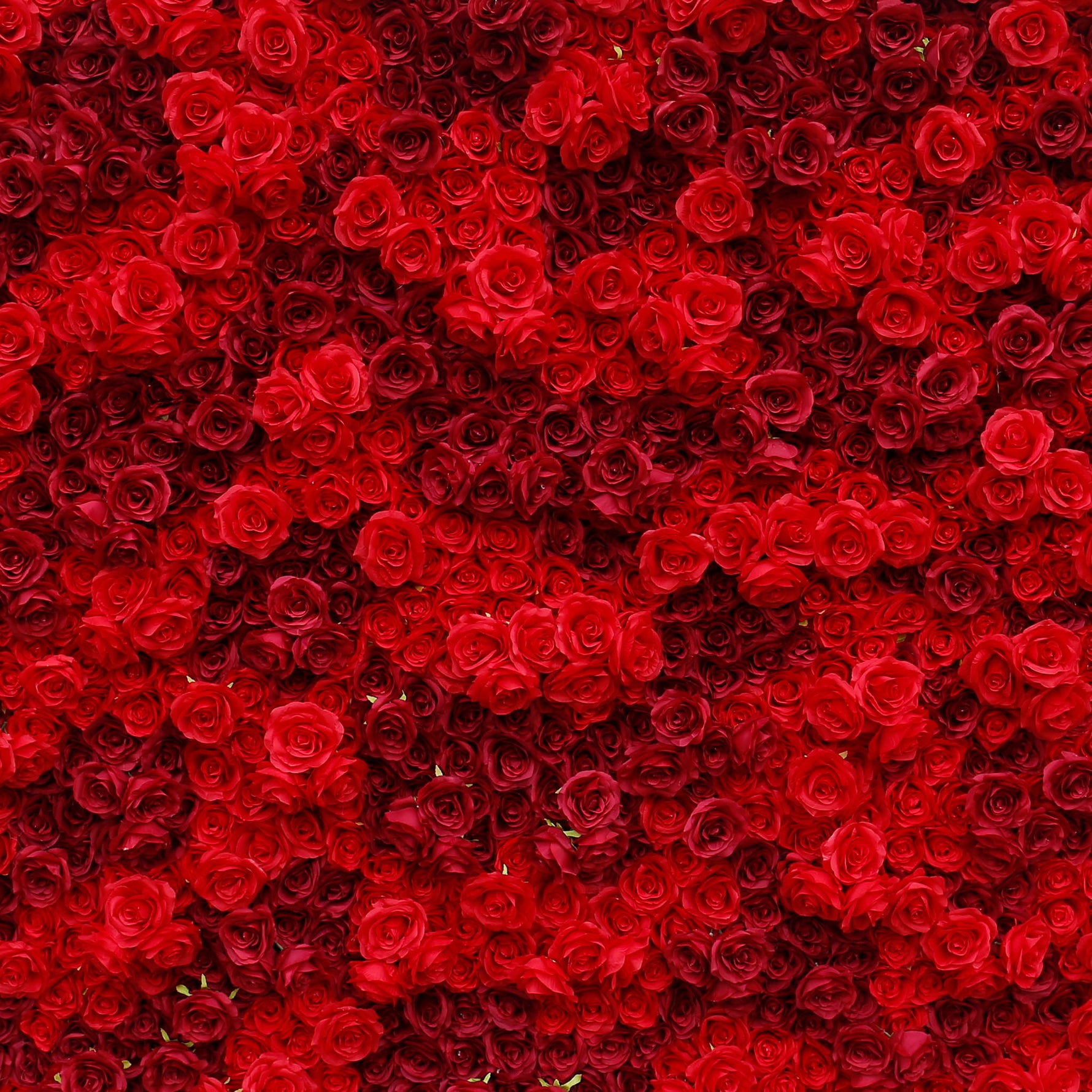 Aliflowers 3D Texture Pure Red Rose Cloth Roll Up Flowers Wall Backdrop ALFWL085 - Ali Flowers