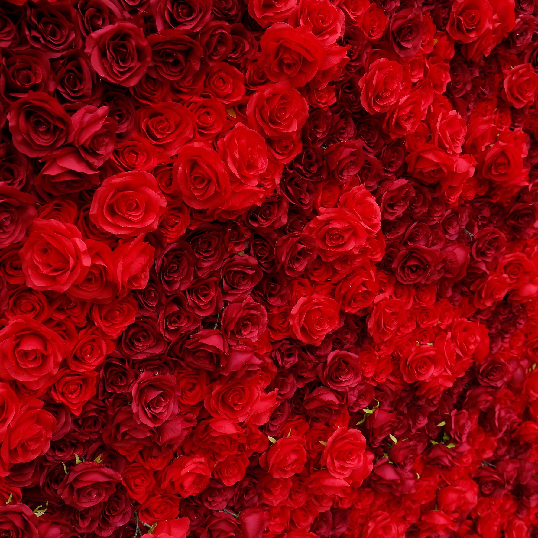 Aliflowers 3D Texture Pure Red Rose Cloth Roll Up Flowers Wall Backdrop ALFWL085 - Ali Flowers