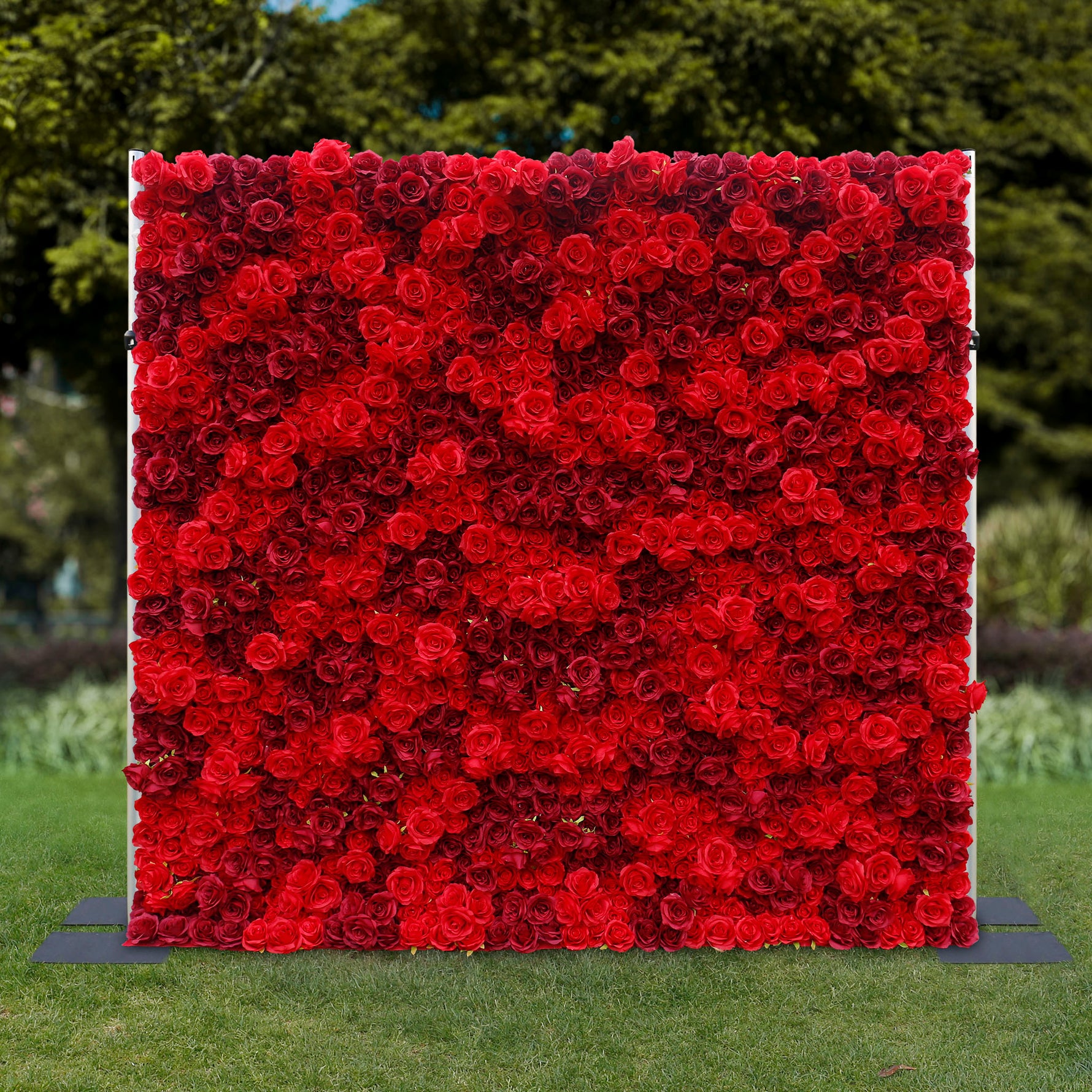 Aliflowers 3D Texture Pure Red Rose Cloth Roll Up Flowers Wall Backdrop ALFWL085 - Ali Flowers