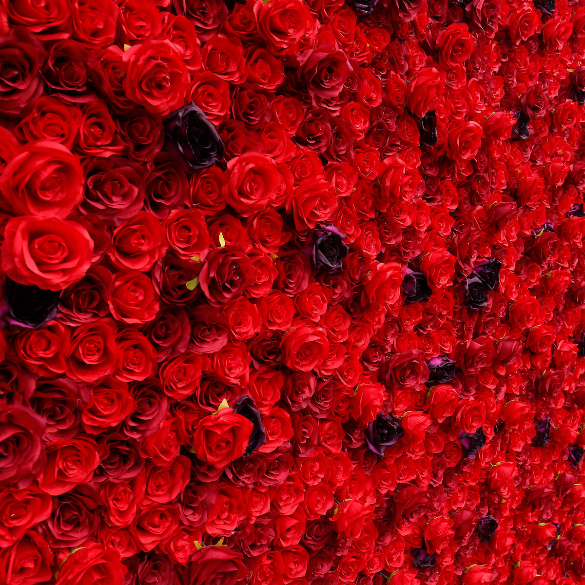 Aliflowers 3D Red Rose with Black Dot Embellish Floral Wall ALFWL080 - Ali Flowers