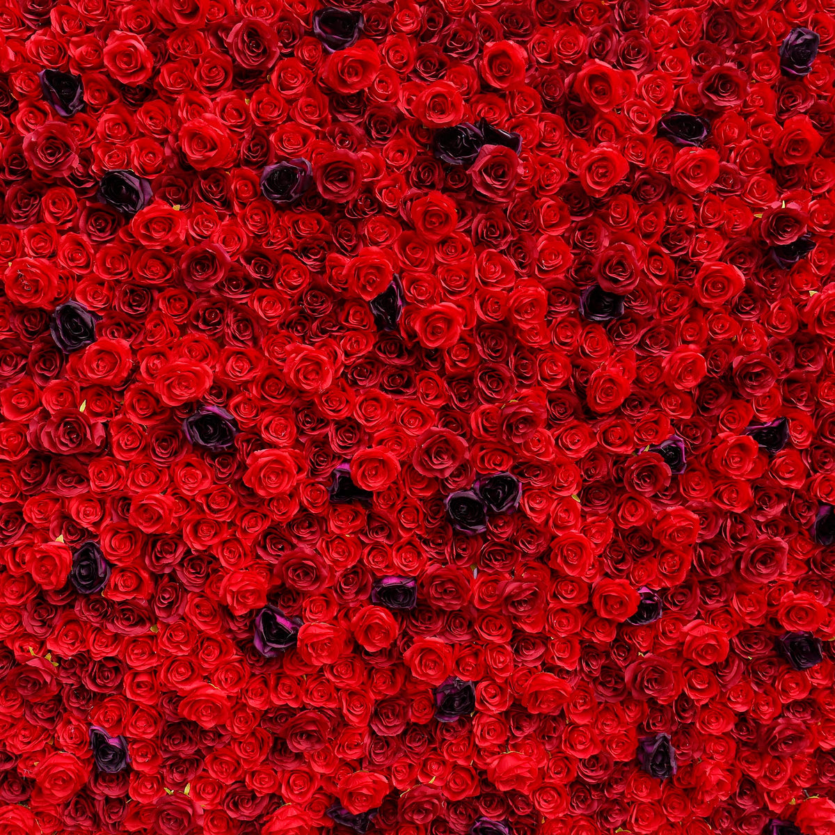 Aliflowers 3D Red Rose with Black Dot Embellish Floral Wall ALFWL080 - Ali Flowers