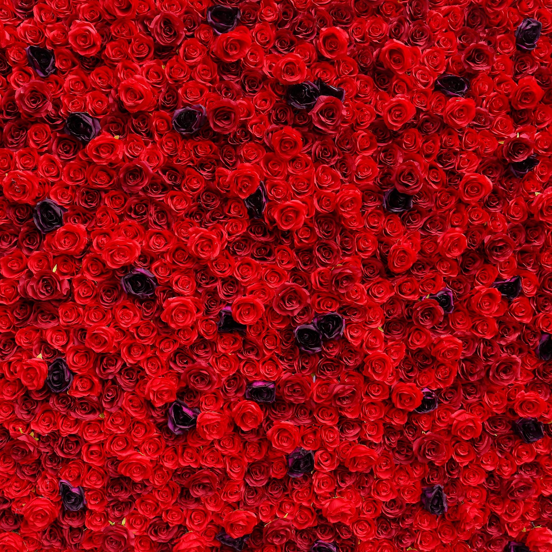 Aliflowers 3D Red Rose with Black Dot Embellish Floral Wall ALFWL080 - Ali Flowers