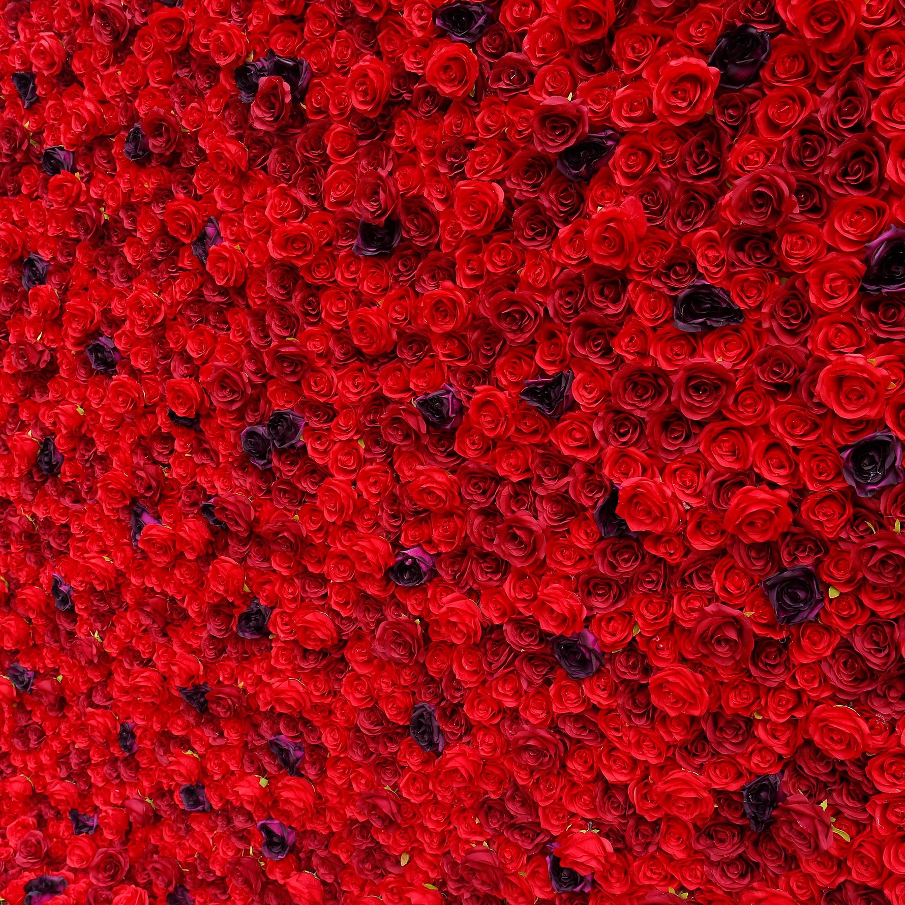 Aliflowers 3D Red Rose with Black Dot Embellish Floral Wall ALFWL080 - Ali Flowers