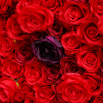 Aliflowers 3D Red Rose with Black Dot Embellish Floral Wall ALFWL080 - Ali Flowers