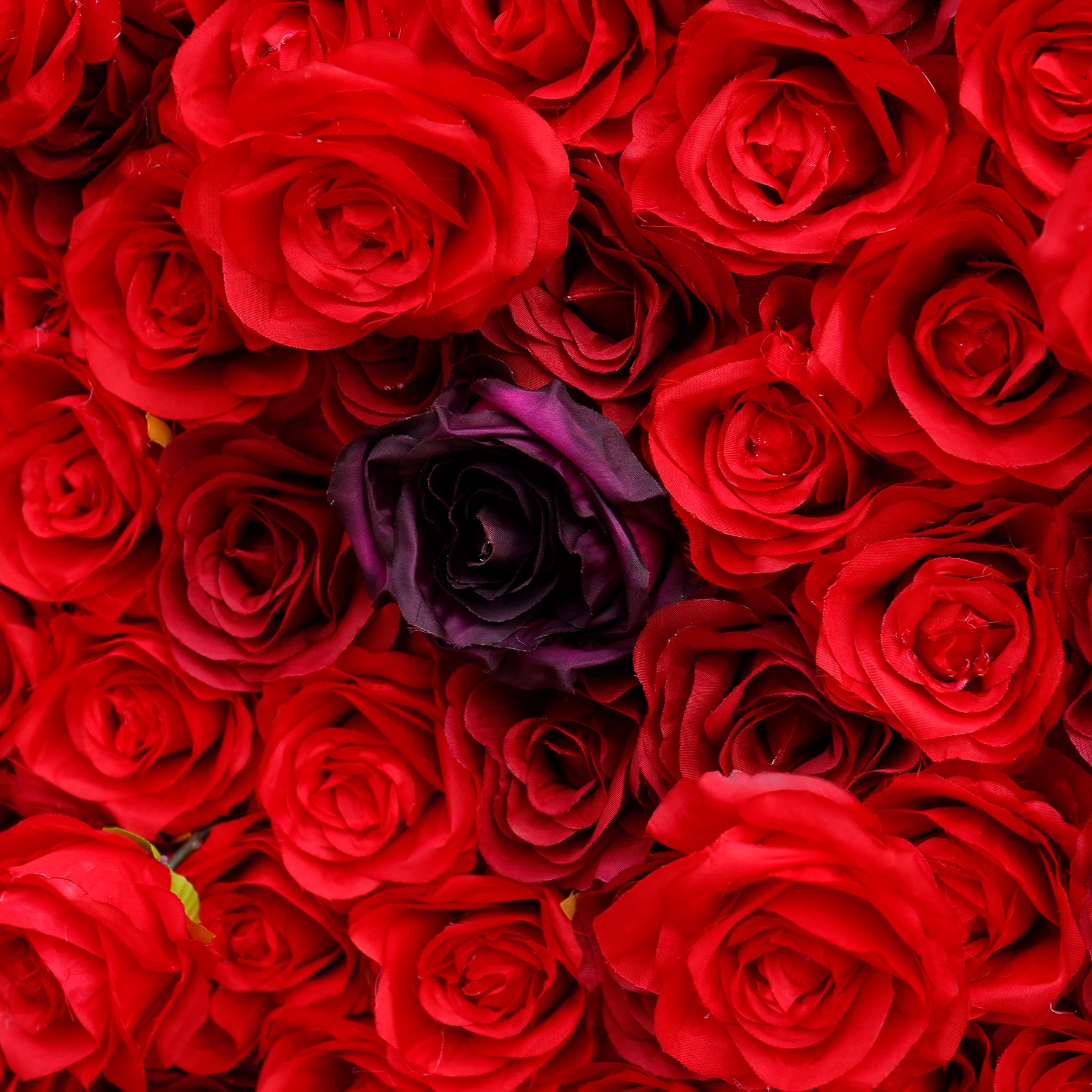 Aliflowers 3D Red Rose with Black Dot Embellish Floral Wall ALFWL080 - Ali Flowers