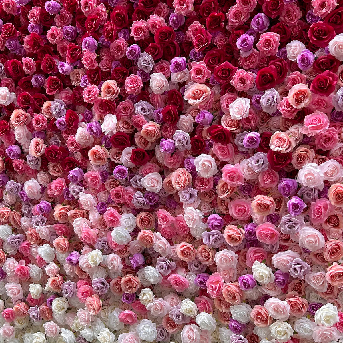 Aliflowers Gradient Rose Flower Wall for Events & Photo Booth Backdrop ALFWL115 - Ali Flowers