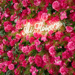 Aliflowers Pink Rose Peony Hydrangea Roller Cloth 5D Flower Wall Wedding Background Decoration ALFWL159