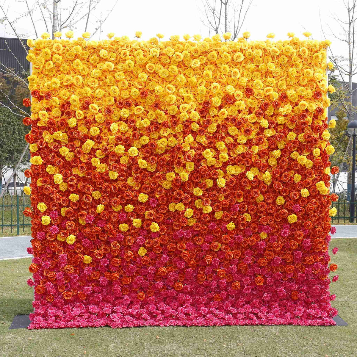 Aliflowers 5D Gradient Rose Orange to Red Sunset Flower Walls ALFWL121 - Ali Flowers