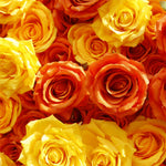 Aliflowers 5D Gradient Rose Orange to Red Sunset Flower Walls ALFWL121 - Ali Flowers