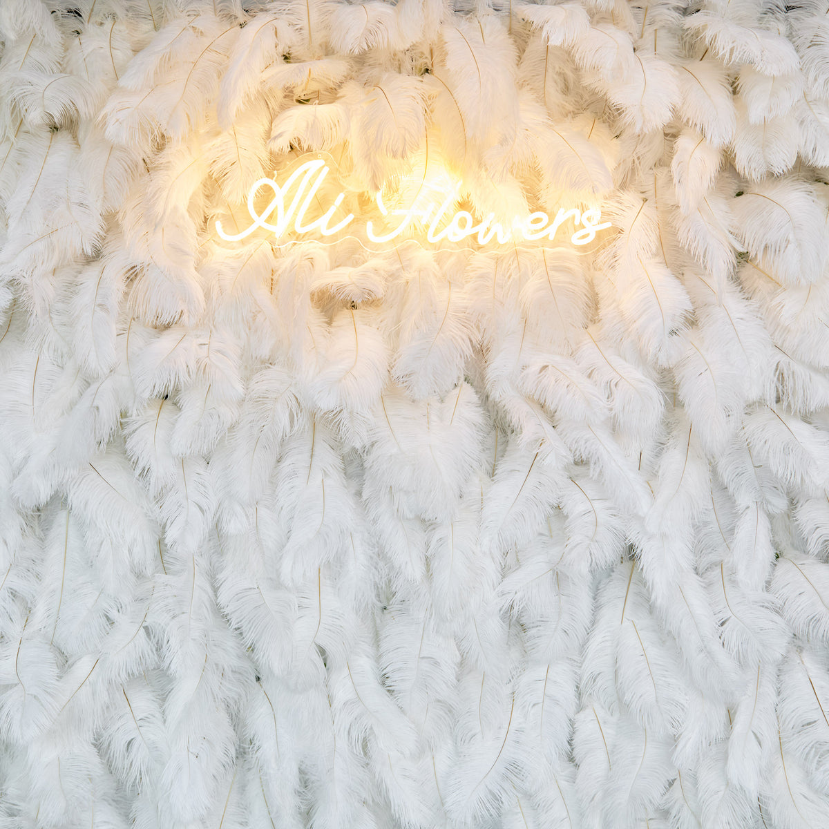 aliflowers-white-feather-wall-backdrop_Wedding-decoration-rol-up-cloth-white-ostrich-feather-wall