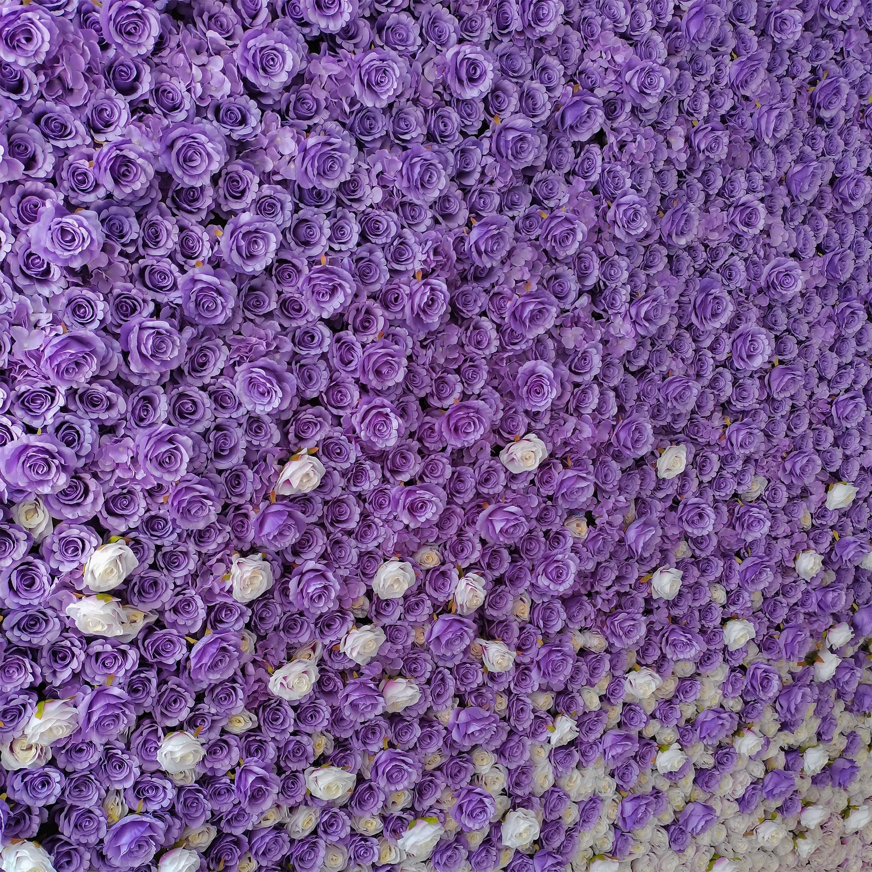 aliflowers white and purple rose curtain flower wall background for wedding events parties