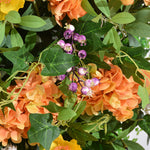 Yellow Rose Wedding Backdrop Decor  for KT Board Display